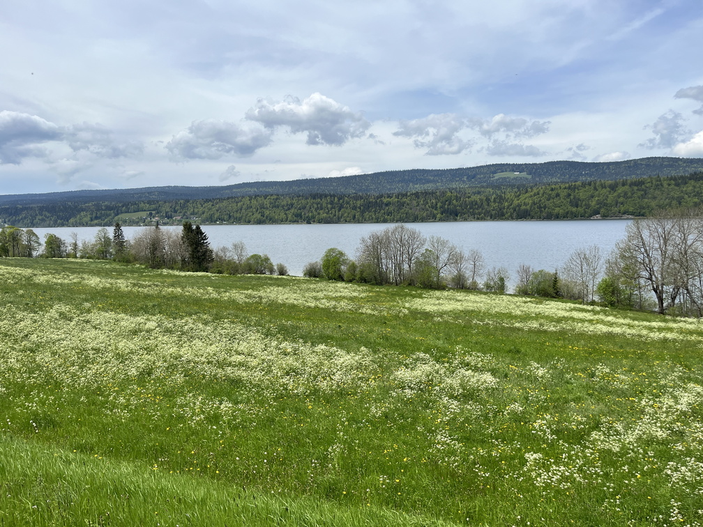 23-05-21 13-18-45 5519